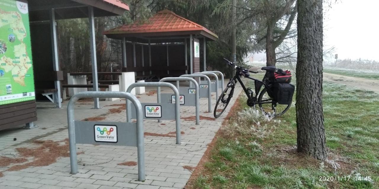Bialowieza Spanie Na Sianie Puszcza Bialowieska Dubicze Cerkiewne المظهر الخارجي الصورة