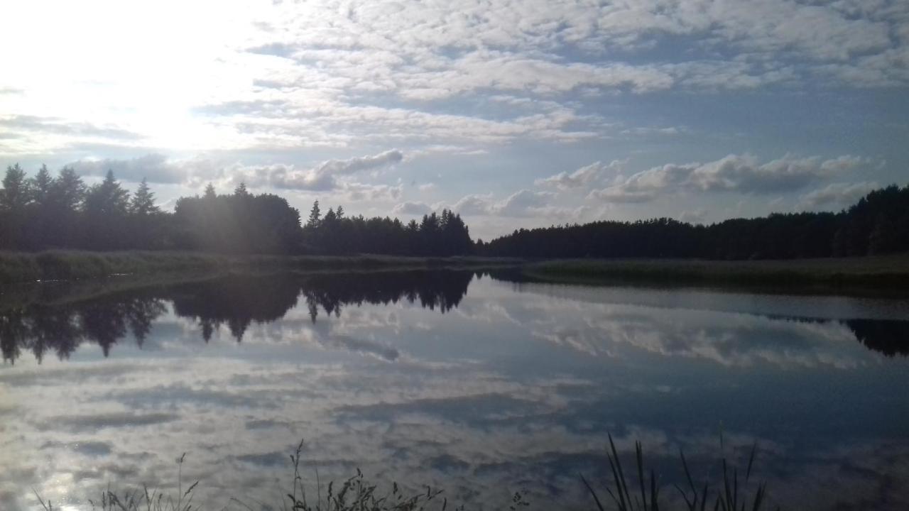 Bialowieza Spanie Na Sianie Puszcza Bialowieska Dubicze Cerkiewne المظهر الخارجي الصورة